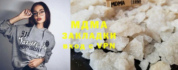 ПСИЛОЦИБИНОВЫЕ ГРИБЫ Дмитриев