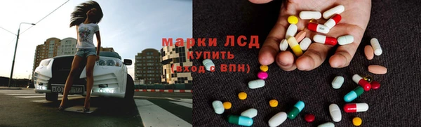 ПСИЛОЦИБИНОВЫЕ ГРИБЫ Дмитриев