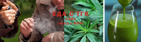 ПСИЛОЦИБИНОВЫЕ ГРИБЫ Дмитриев