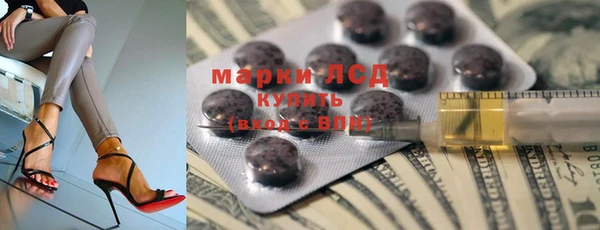 ПСИЛОЦИБИНОВЫЕ ГРИБЫ Дмитриев