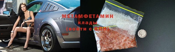ПСИЛОЦИБИНОВЫЕ ГРИБЫ Дмитриев