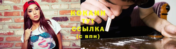 СК Дмитров