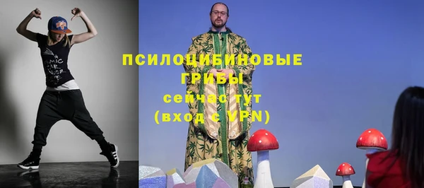 ПСИЛОЦИБИНОВЫЕ ГРИБЫ Дмитриев