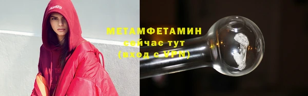 ПСИЛОЦИБИНОВЫЕ ГРИБЫ Дмитриев
