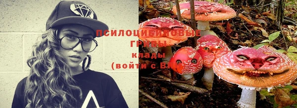 ПСИЛОЦИБИНОВЫЕ ГРИБЫ Дмитриев