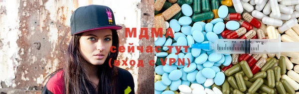 ПСИЛОЦИБИНОВЫЕ ГРИБЫ Дмитриев
